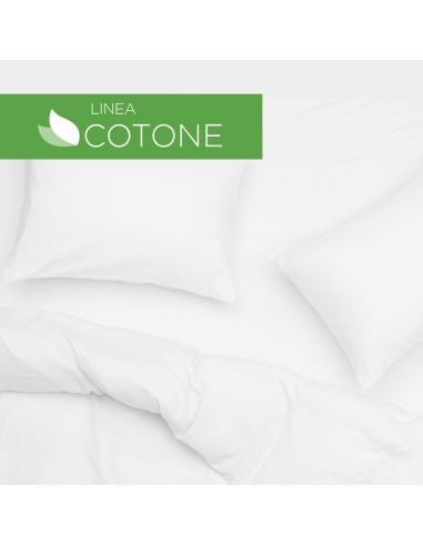 100% Cotone Pillow Cover-Anti-Dust Mite Efficiency 20 Years - Allergosystem